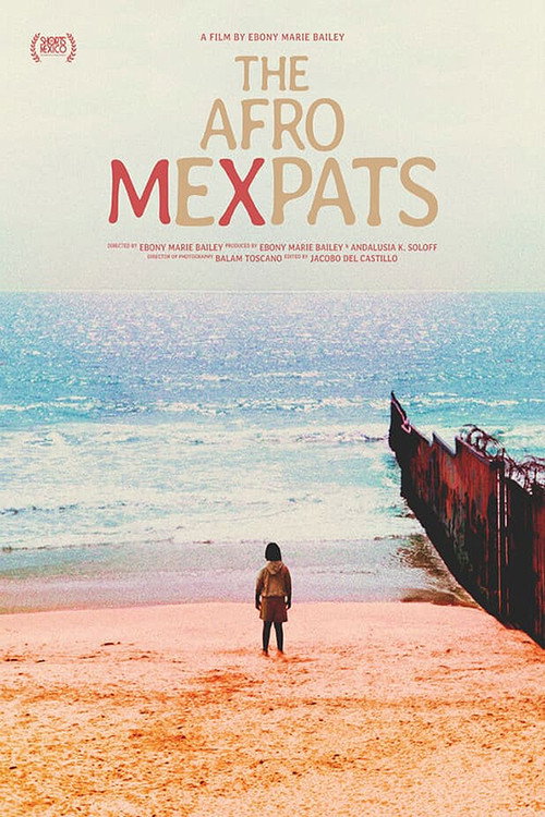 Afro-Mexpatriados