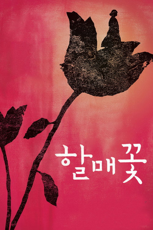 할매꽃