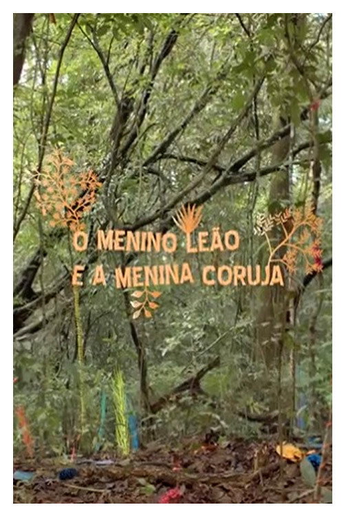 O Menino Leão e a Menina Coruja