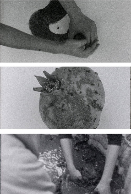 arrojalatierra