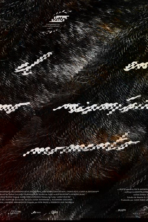 Прямо сейчас