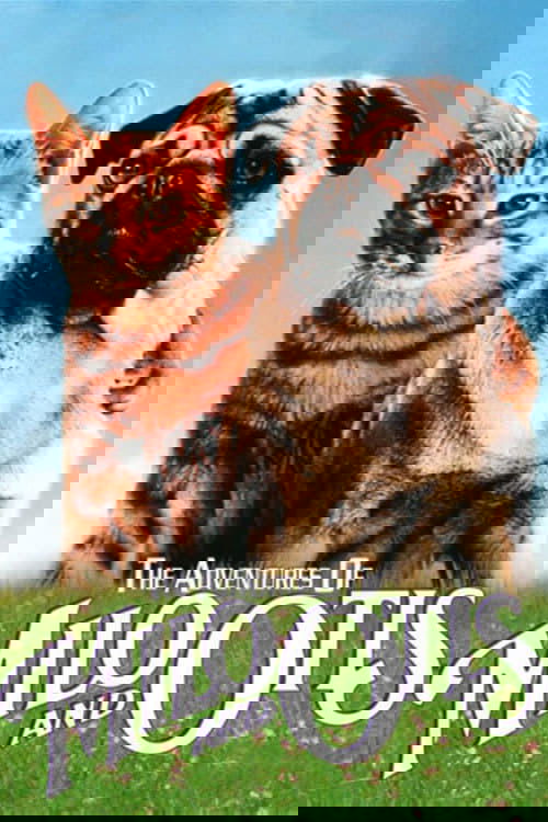 Приключения Майло и Отиса