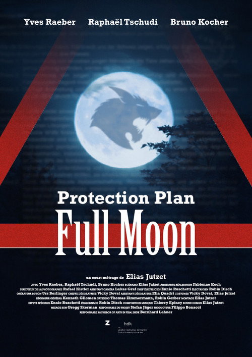 Schutzplan Vollmond