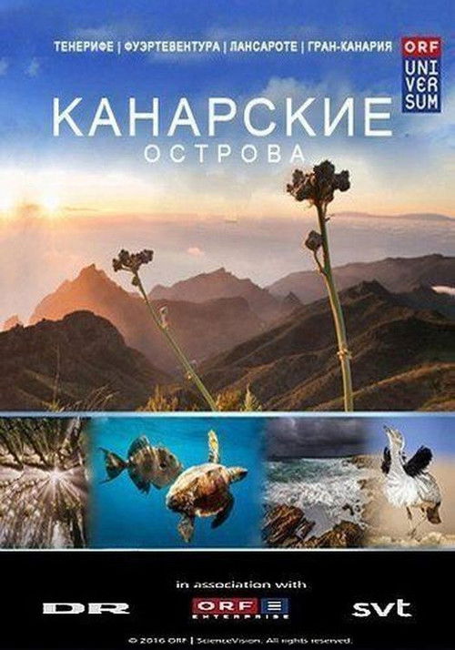 Канарские острова