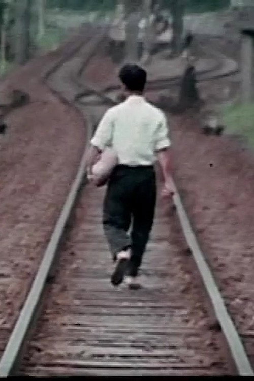 人在路上