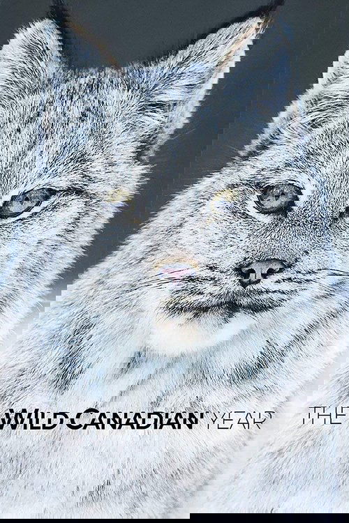 The Wild Canadian Year