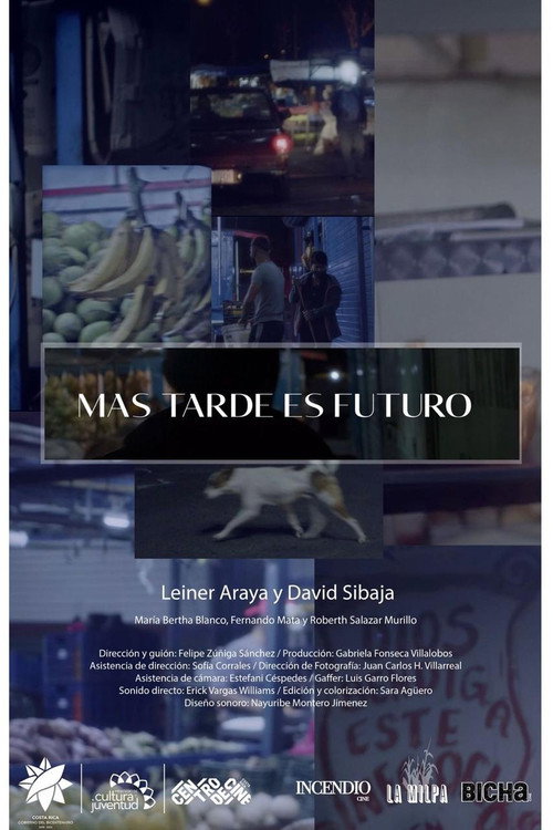 Más tarde es futuro