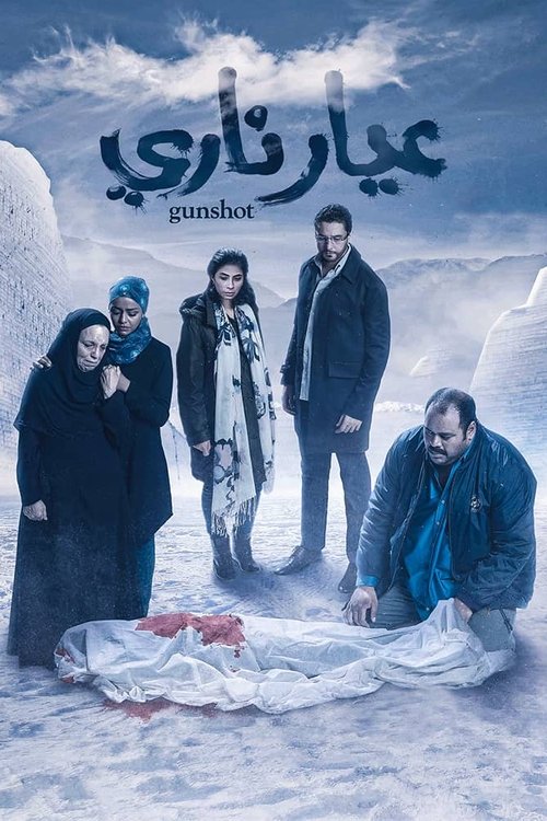 Загадочный выстрел