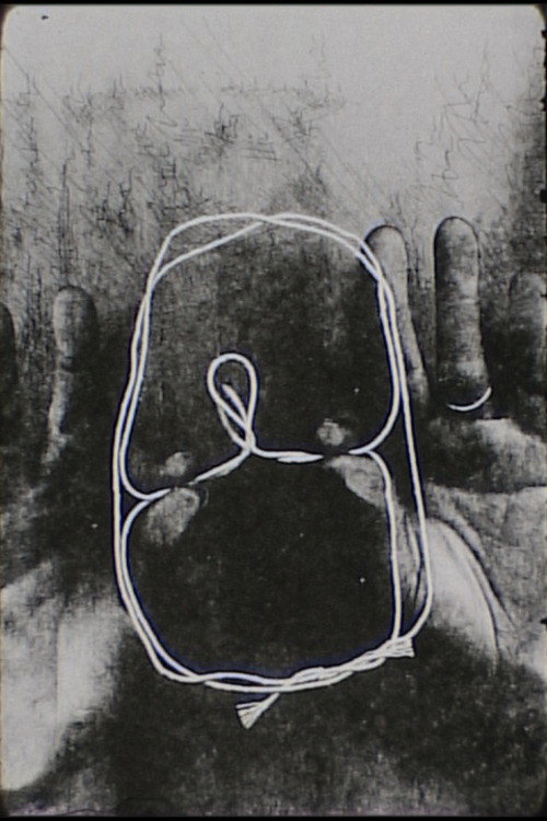 cat's cradle