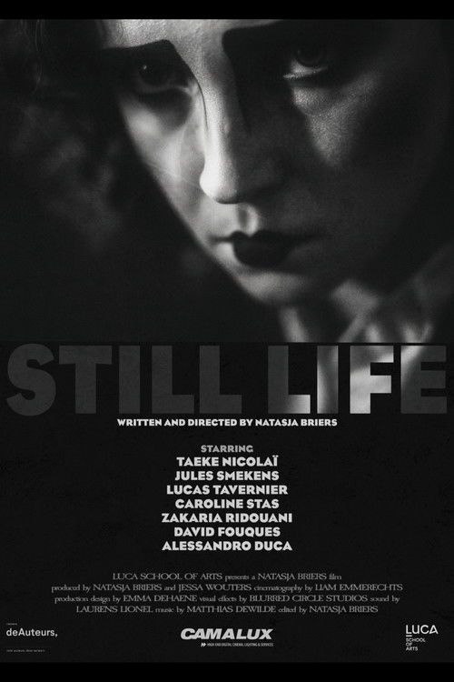 Still Life