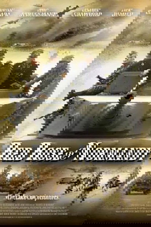 Red Rose of Normandy