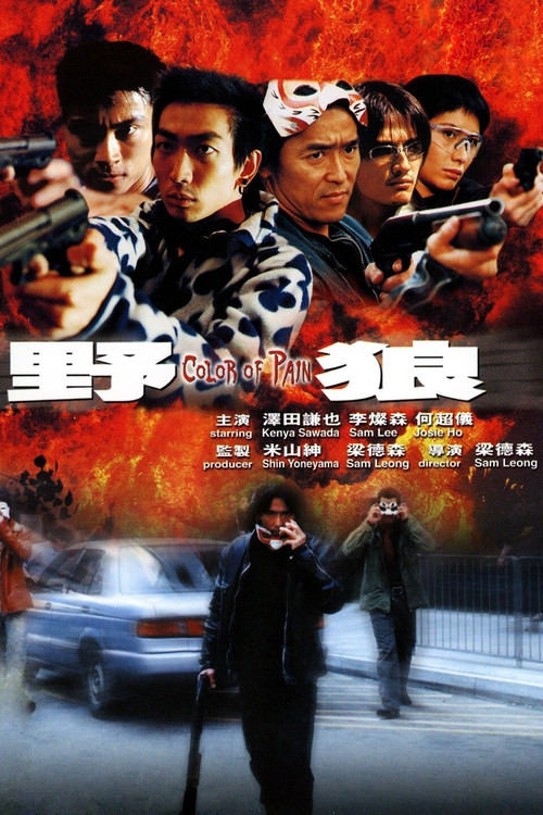 野狼