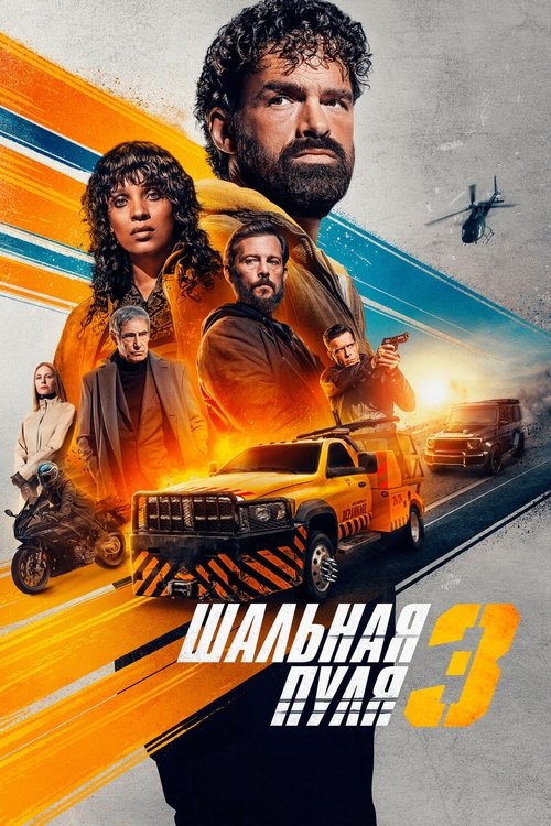 Шальная пуля 3