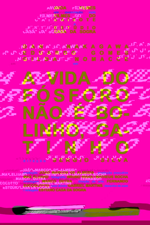 A Vida do Fósforo Não É Bolinho, Gatinho