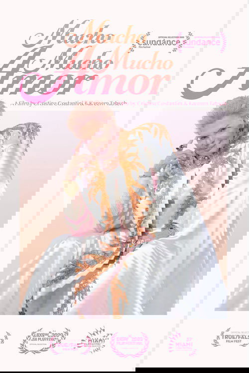 Мучо Мучо Амор: Легенда о Вальтере Меркадо