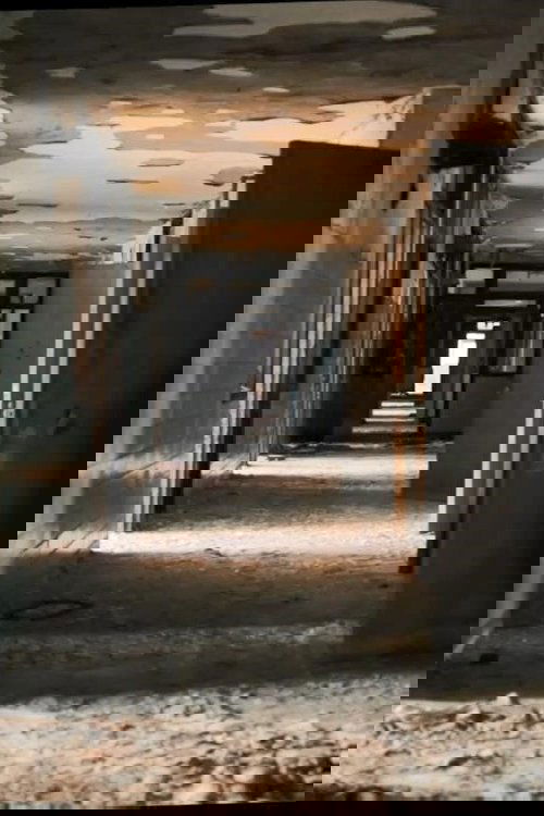 Asymptomatic Carrier