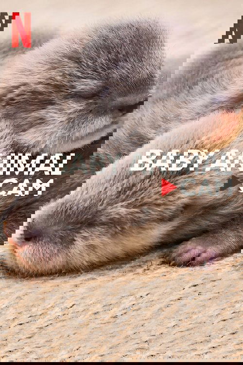 Детеныши в прямом эфире