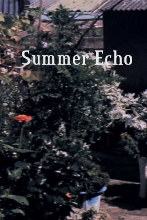 Summer Echo