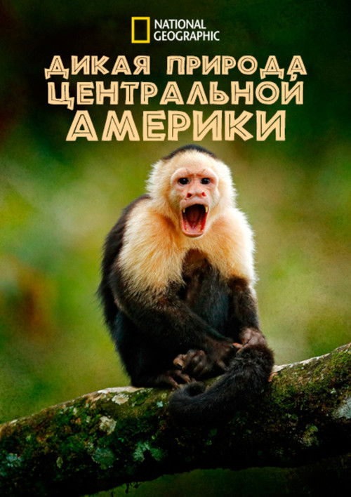 Дикая природа Центральной Америки
