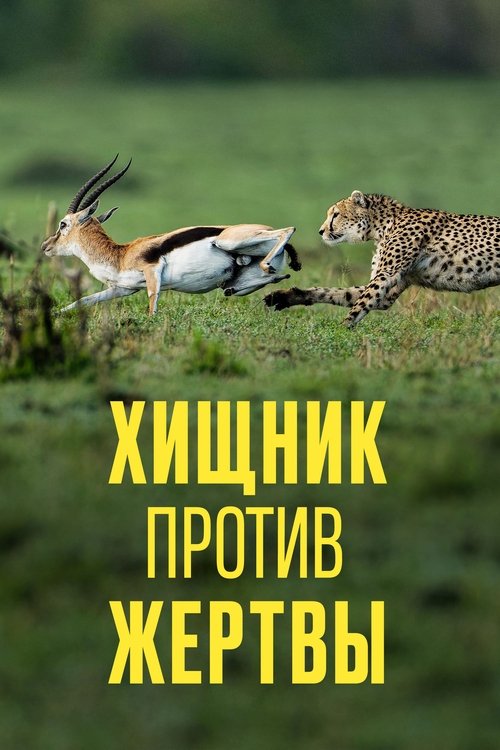 Хищник против жертвы