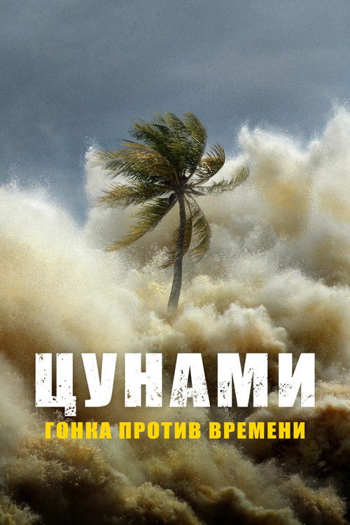 Цунами: наперегонки со временем