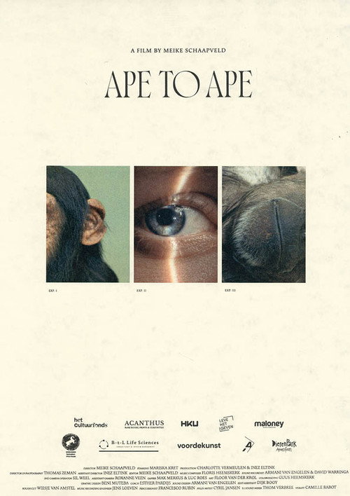 Aap tot Aap