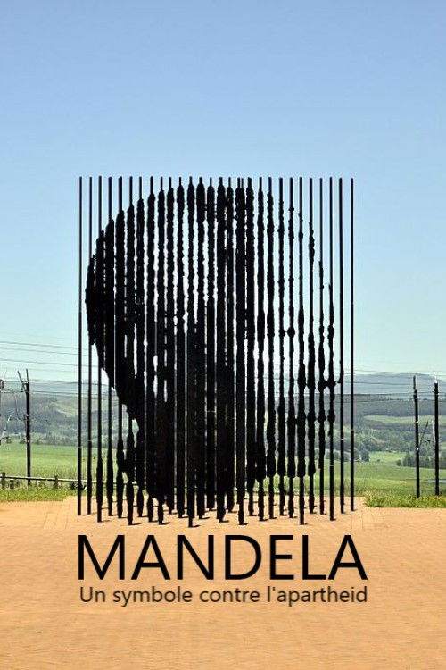 Mandela, un symbole contre l'apartheid