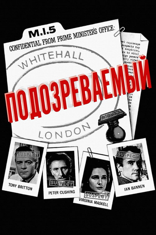 Подозреваемый