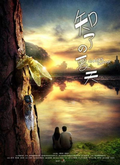 知了的夏天