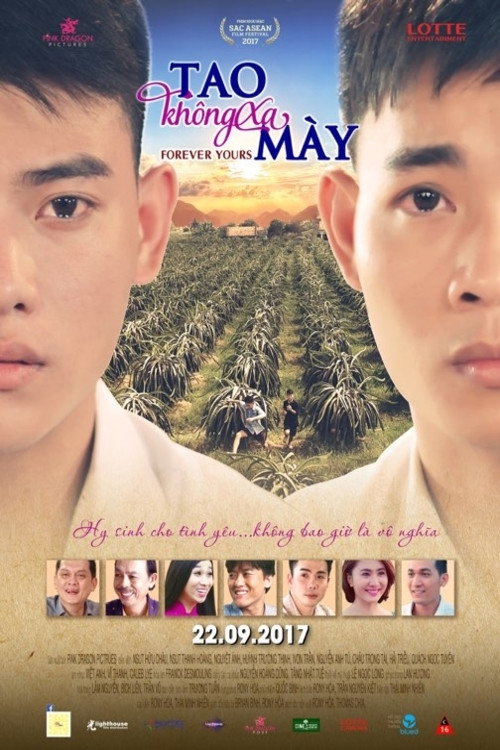 Tao Không Xa Mày