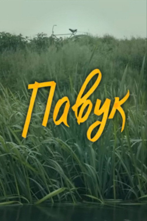 DZIDZIO: Павук