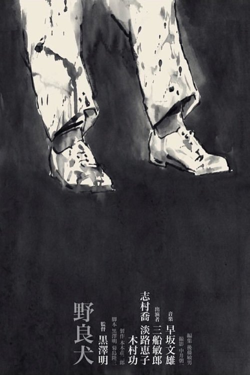 Бездомный пес