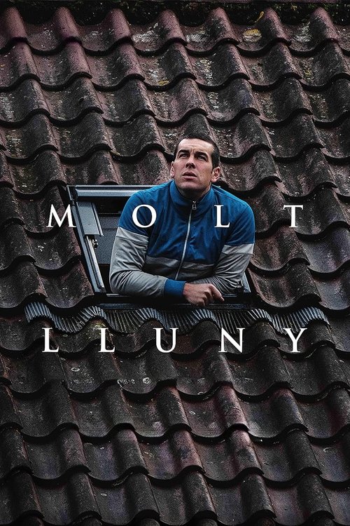 Molt lluny