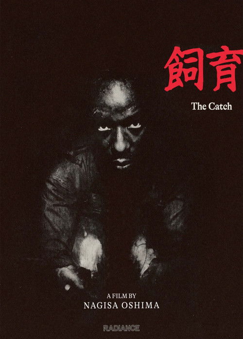 Содержание скотины