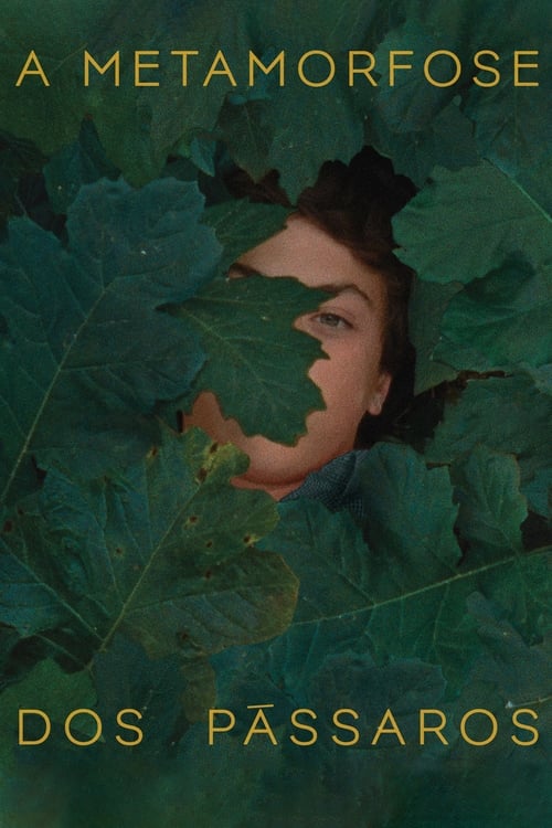 Метаморфоза птиц