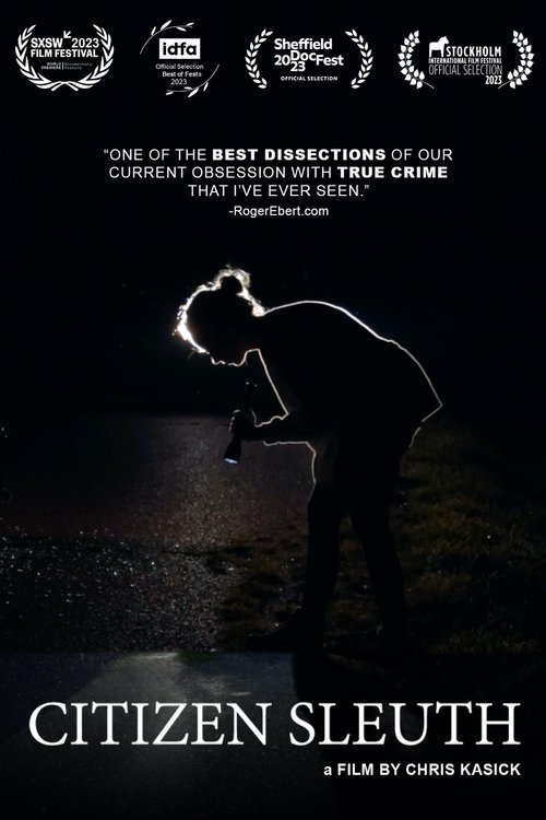 Ненастоящий детектив