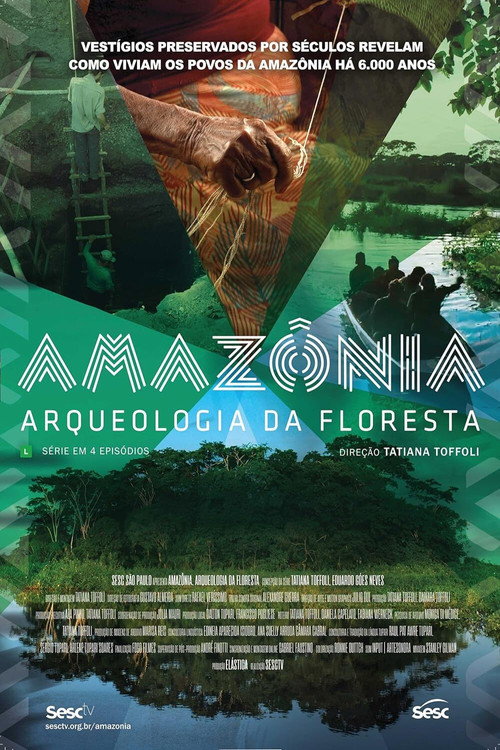 Amazônia, Arqueologia da Floresta