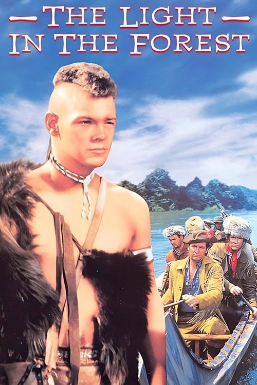 Свет в лесу