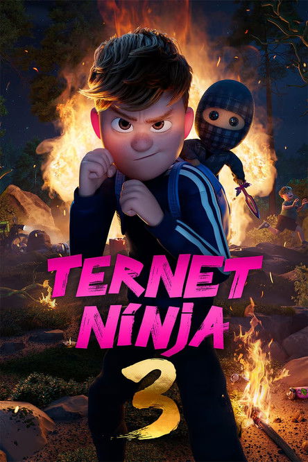 Ternet Ninja 3