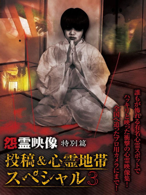 怨霊映像 特別篇 投稿＆心霊地帯スペシャル 3
