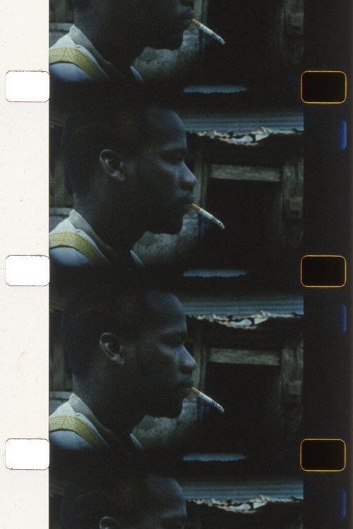 Pipe