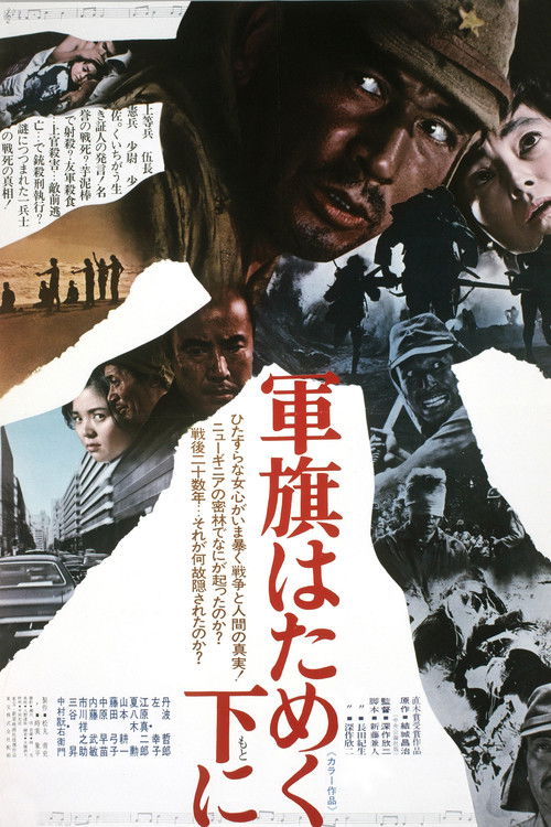 Под флагом восходящего солнца