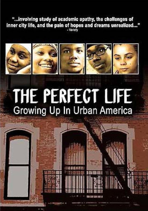 The Perfect Life