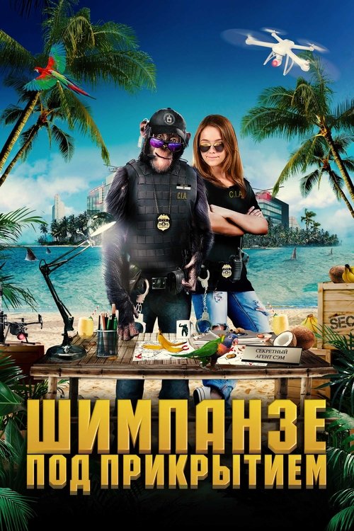 Шимпанзе под прикрытием