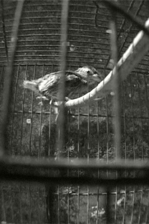 Spectrum WK (Spectrum #3)