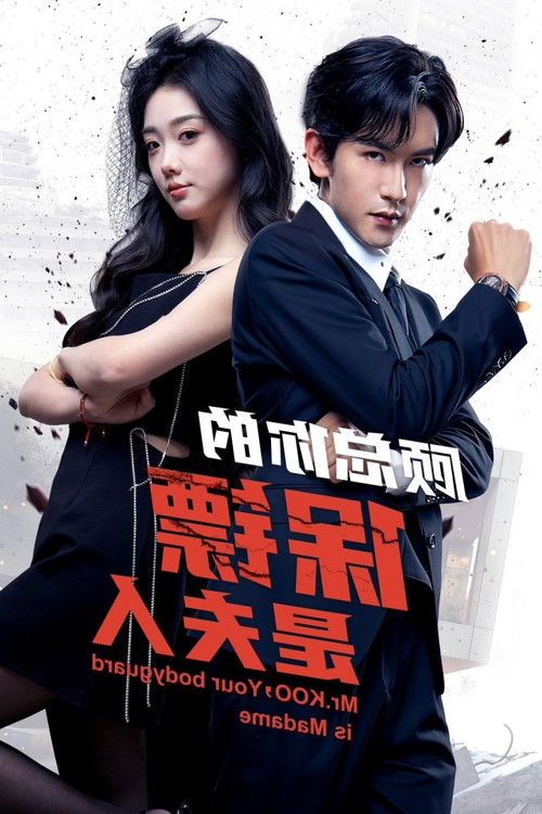 Господин Ку, ваш телохранитель — девушка