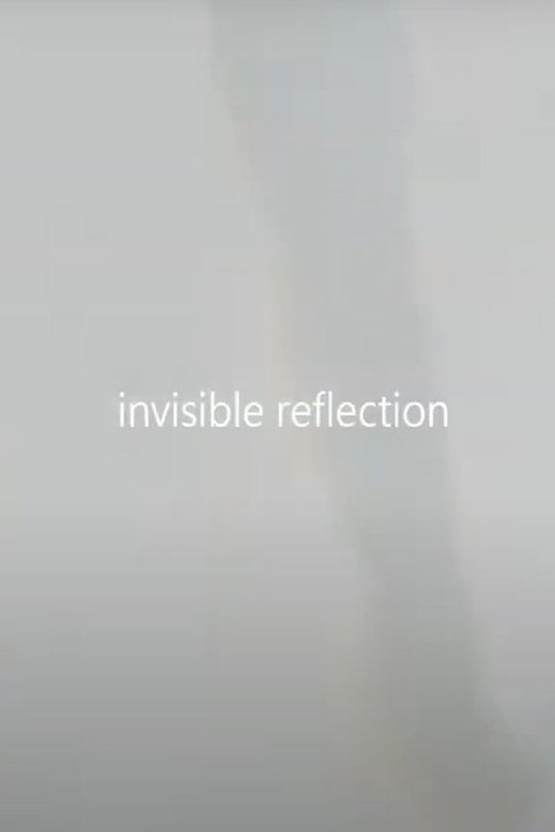 invisible reflection