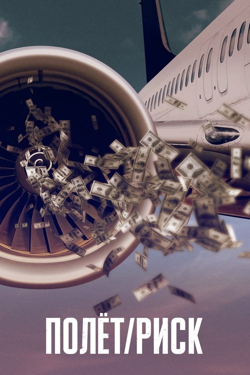 РИСК ПОЛЕТА