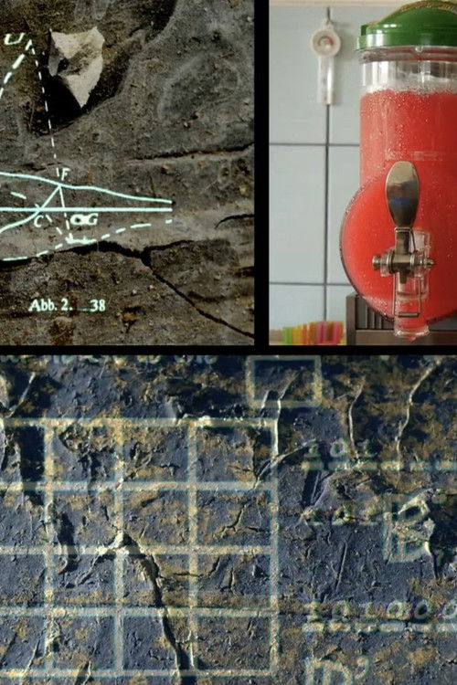 Im Gestein der Zeichen