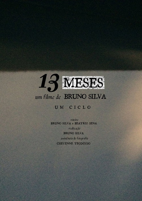 13 MESES